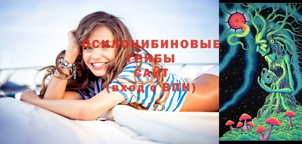 соль ск Горняк