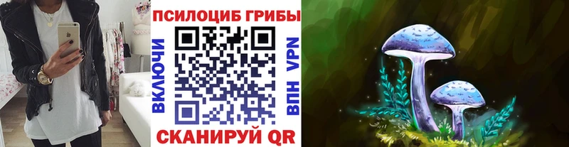 магазин продажи наркотиков  Можайск  Псилоцибиновые грибы ЛСД 