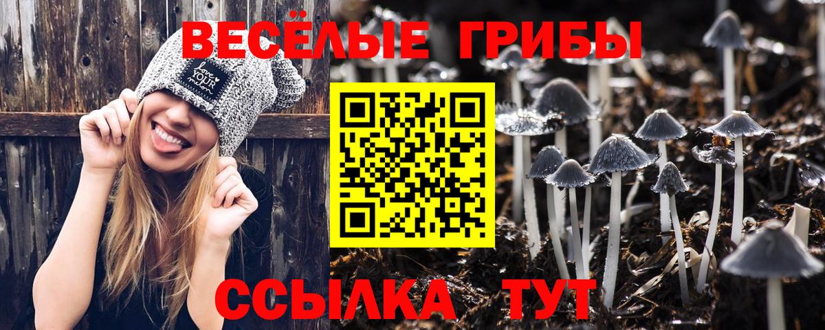 Псилоцибиновые грибы Magic Shrooms  Вход с VPN  Можайск 